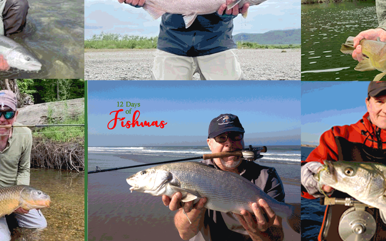 🎣 12 Days of Fishmas Best Gear for the Trout Bum Marsello