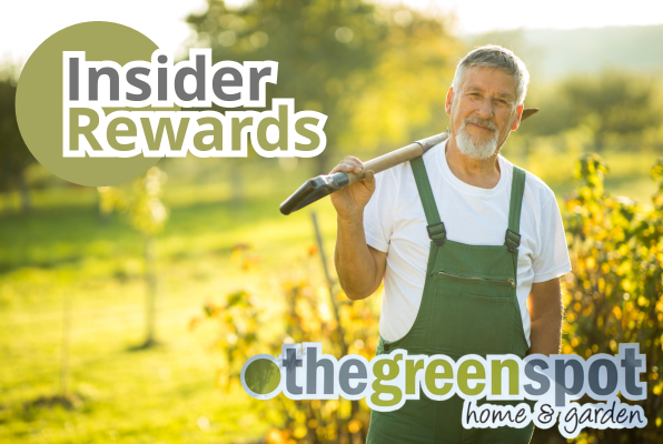 Brand campaign image