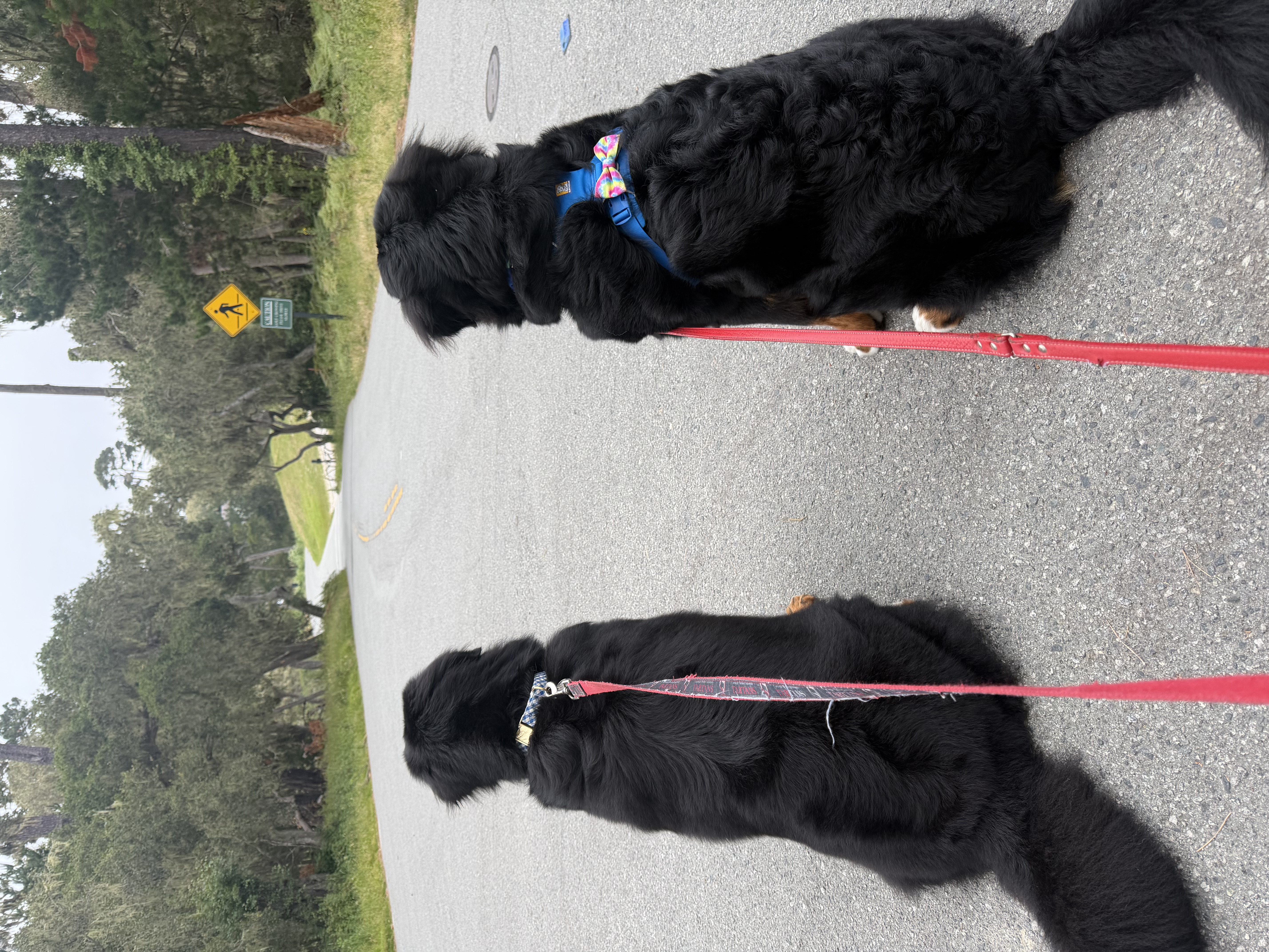 Basher and Benny